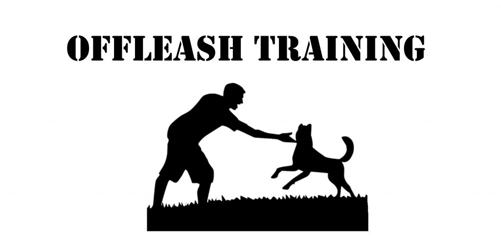 off leash training